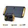 FlashSpeed 300 + 110W panel solar